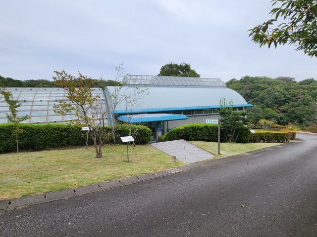 高崎市染料植物園